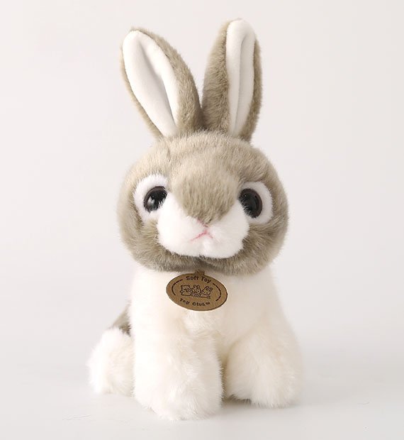 動(dòng)物園系列